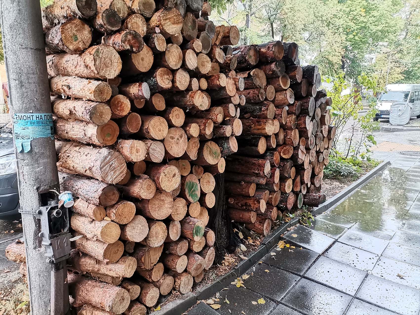 Тази есен търсенето на дърва е много по-малко