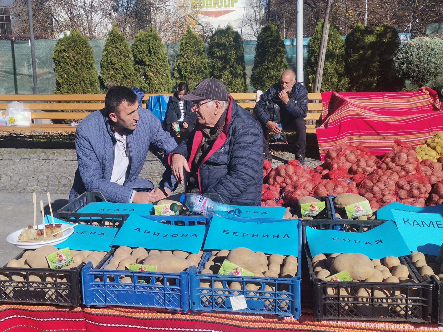 25 години след началото Празникът на картофите е жив и нужен