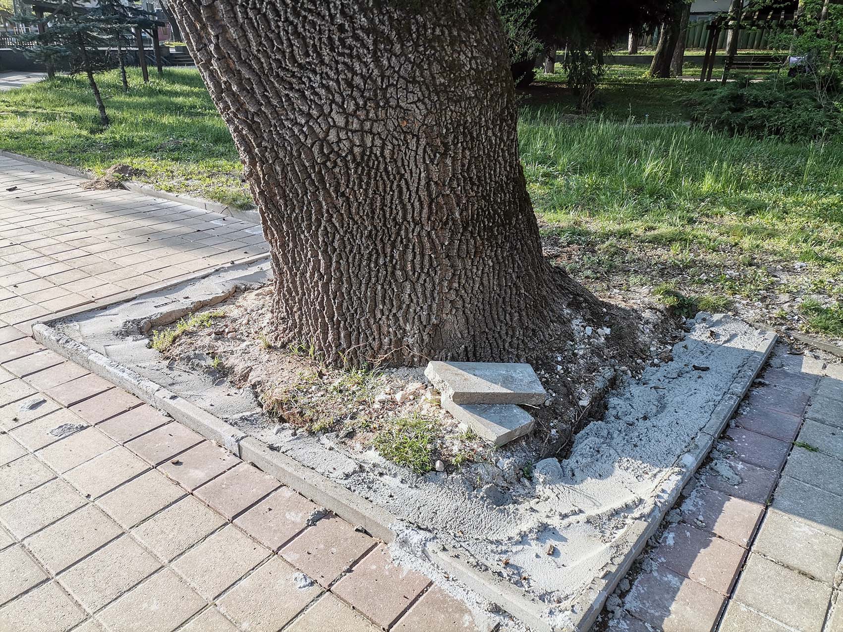 От 17 години общината не е актуализирала данните за зелената система