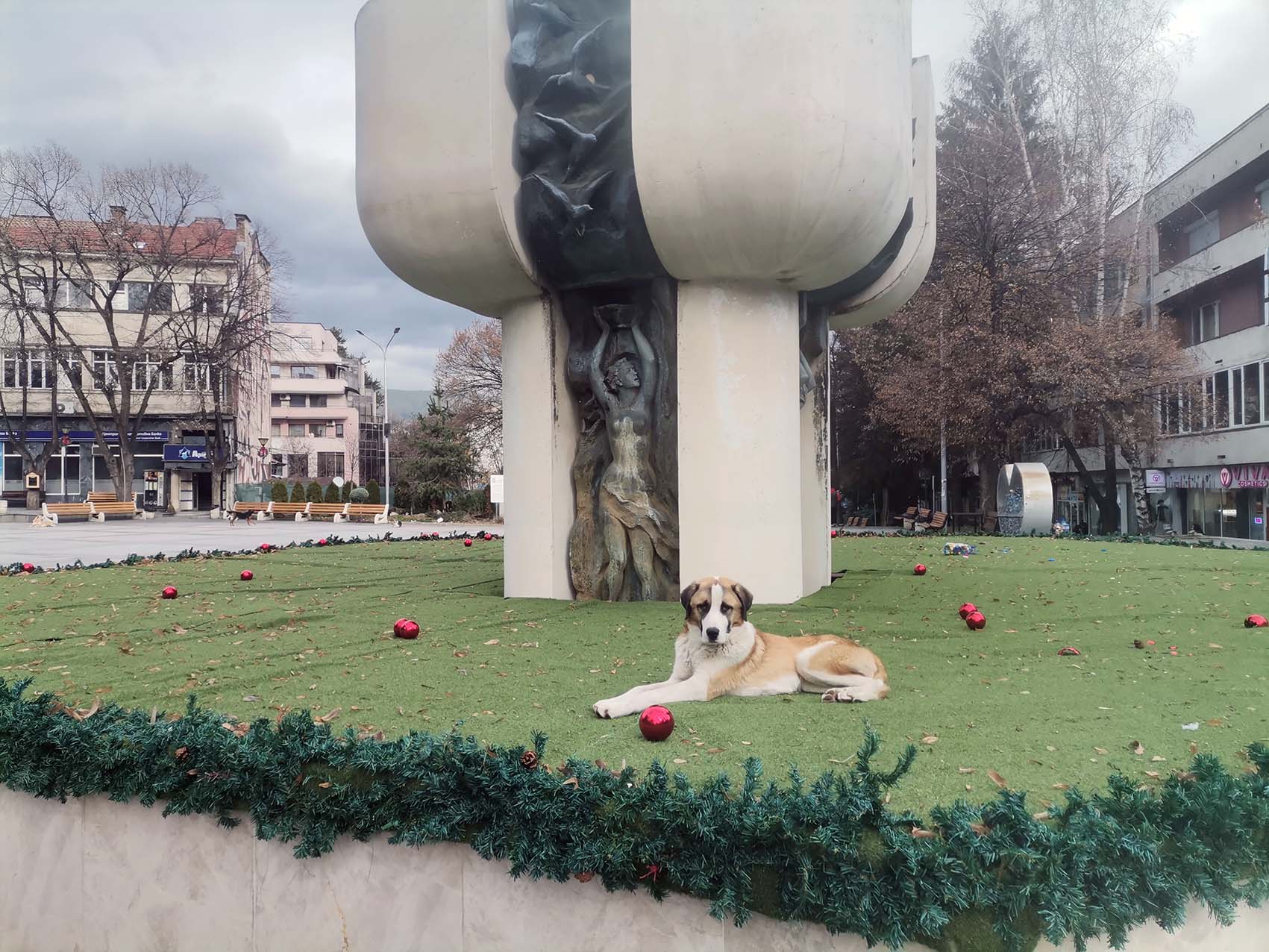 СЕДМИЧЕН ОБЕКТИВ 02. 12. 2025