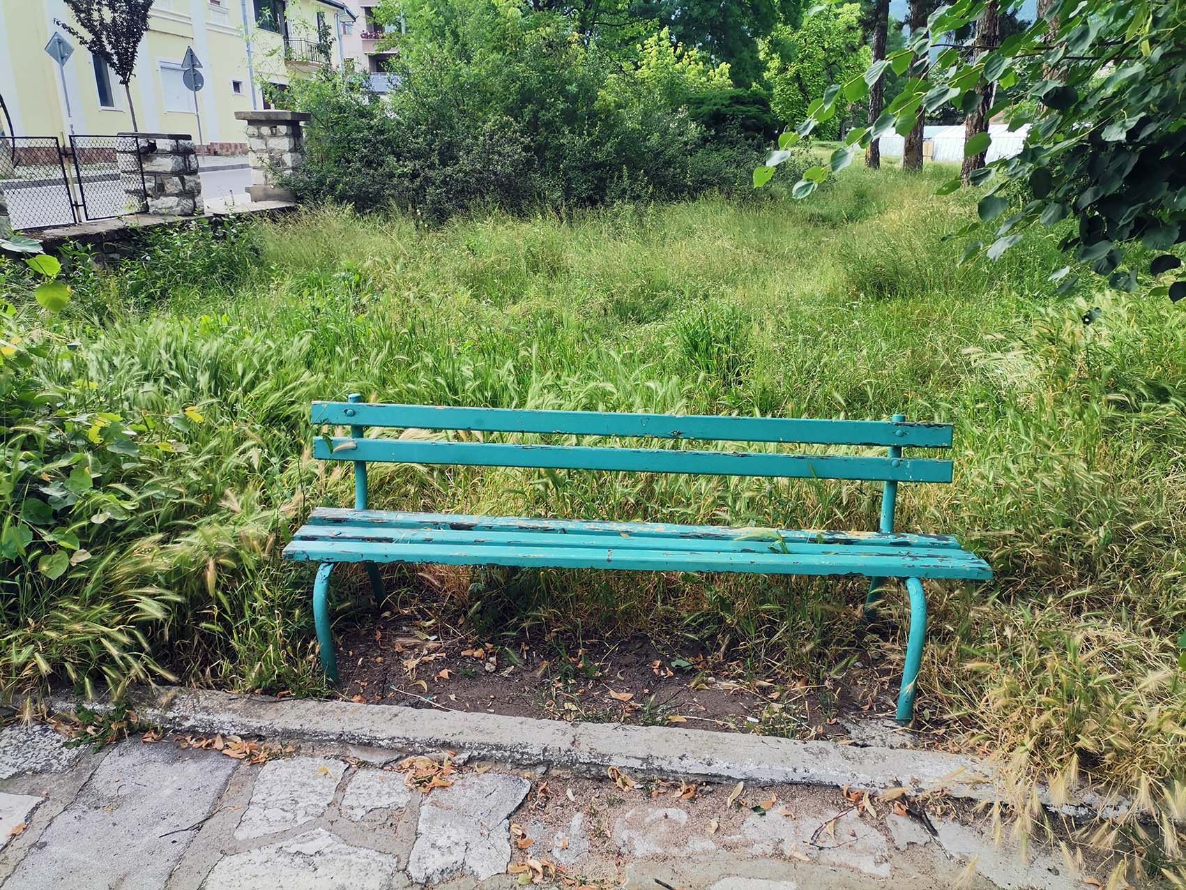 В средата на годината общината няма договор за дезакаризация на тревните площи