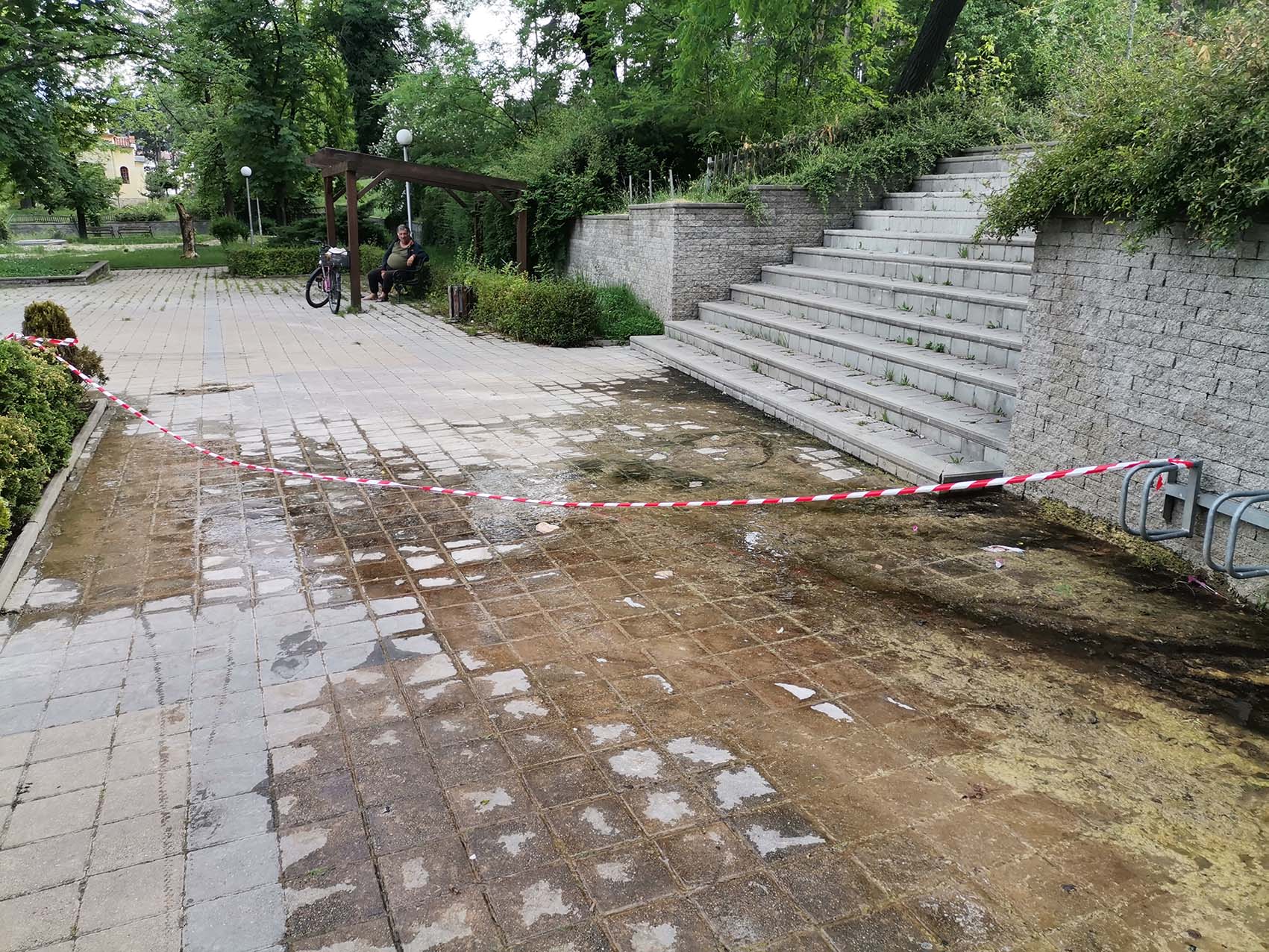 В парка е опасно за пешеходци