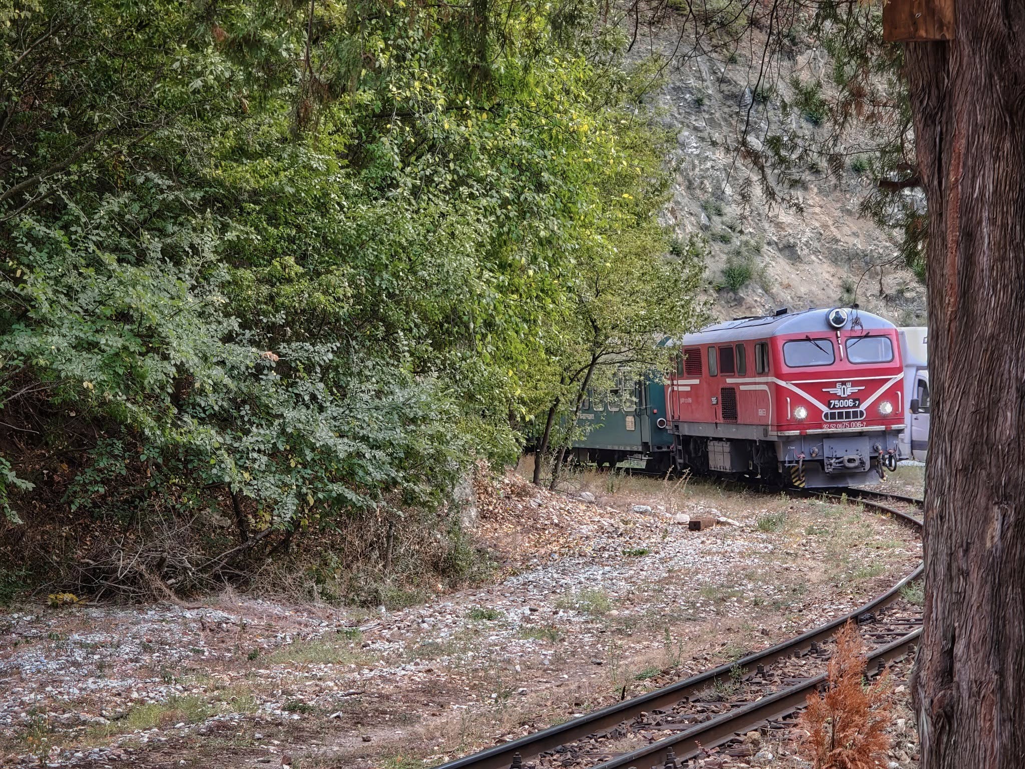 Есенното пътуване с Родопската теснолинейка е сред най-живописните в света